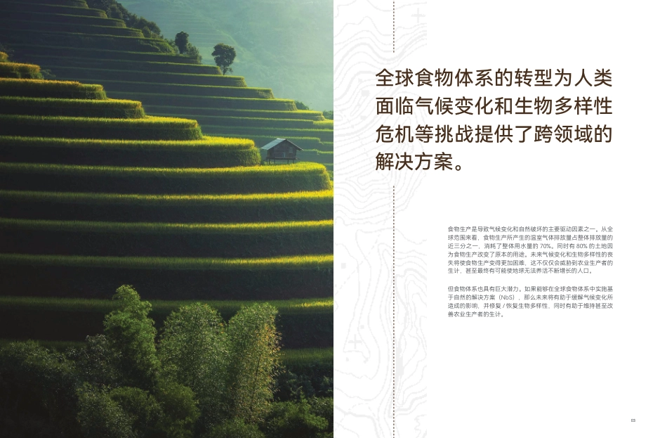 TNC：从“可持续”到“再生”：农业食物生产区域-加速全球食物体系转型_第3页
