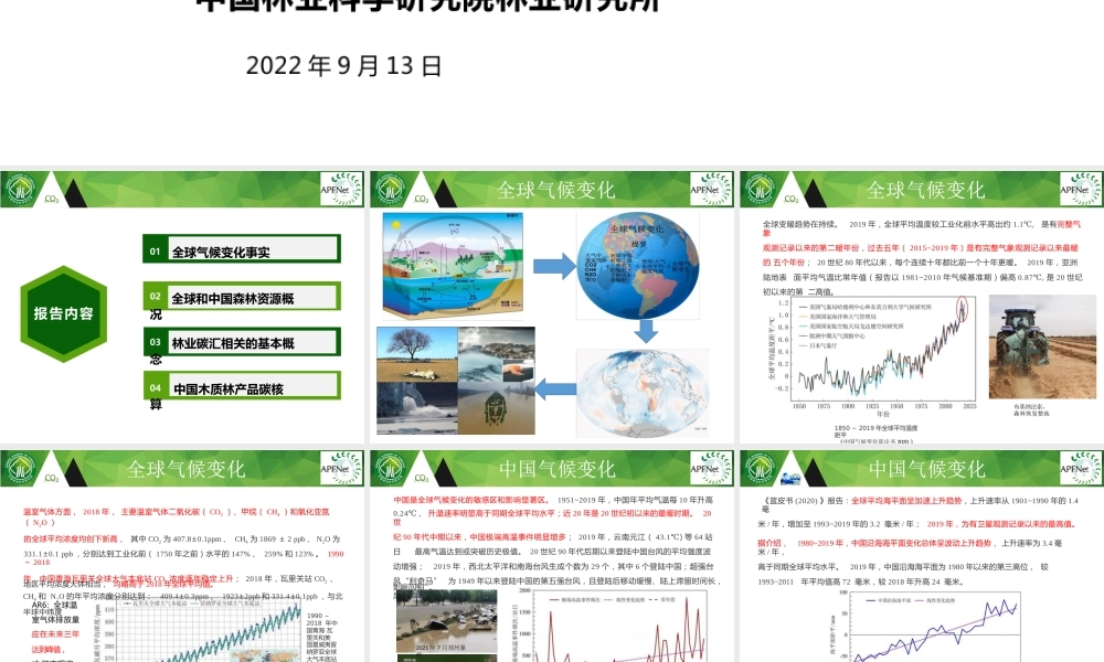 碳中和背景下的森林碳汇基本知识（可编辑版）