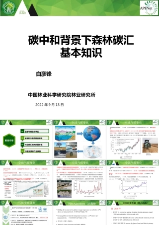 碳中和背景下的森林碳汇基本知识（可编辑版）