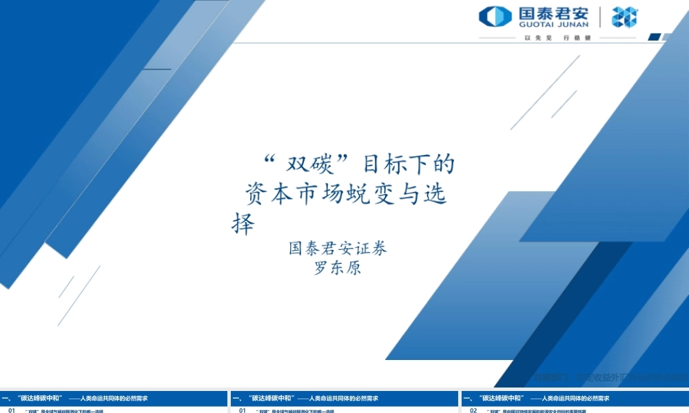 罗东原 “双碳”目标下的资本市场蜕变与选择