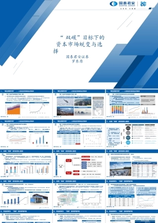 罗东原 “双碳”目标下的资本市场蜕变与选择