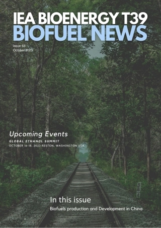 中国生物燃料的生产与发展（英文版）--国际能源署