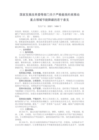 关于严格能效约束推动重点领域节能降碳的若干意见