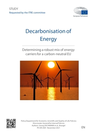 能源脱碳：为欧盟碳中和确定稳健的能源载体组合（英）-欧洲议会