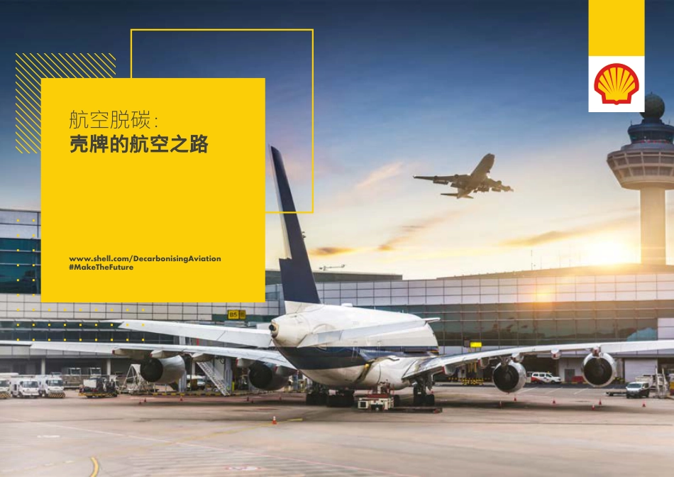 航空脱碳：壳牌公司的航空之路---壳牌_第1页