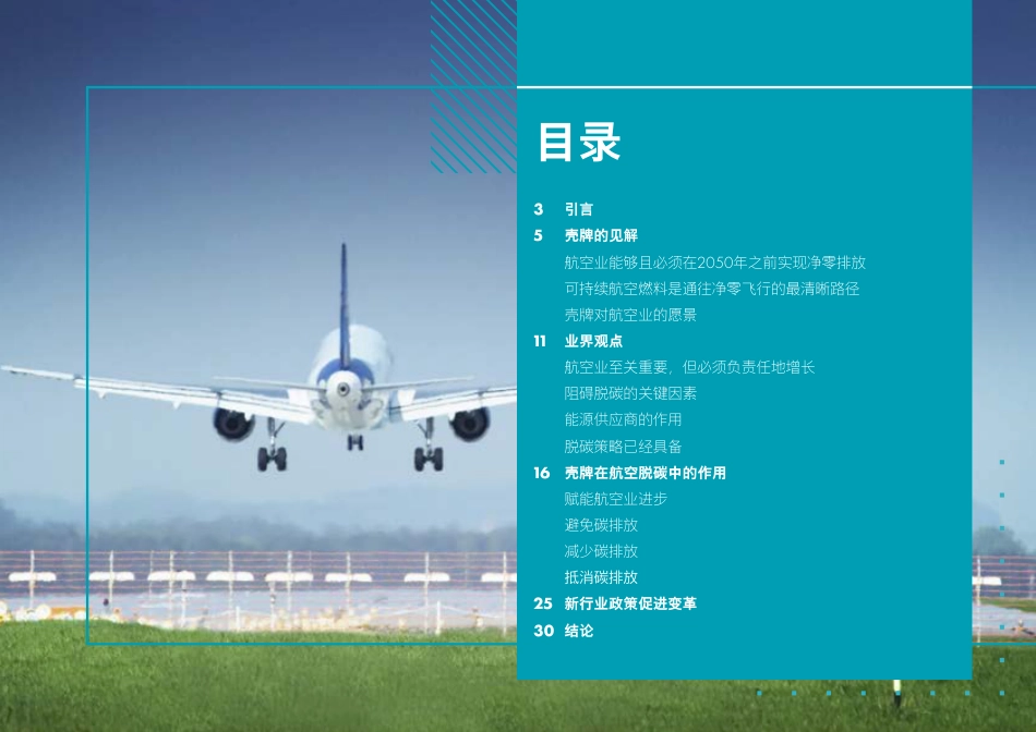 航空脱碳：壳牌公司的航空之路---壳牌_第2页