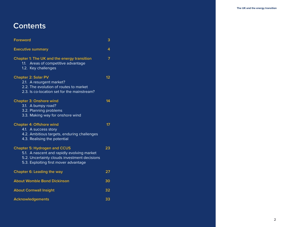 英国与能源转型：如何引领潮流（英）-Cornwall Insight  _第2页