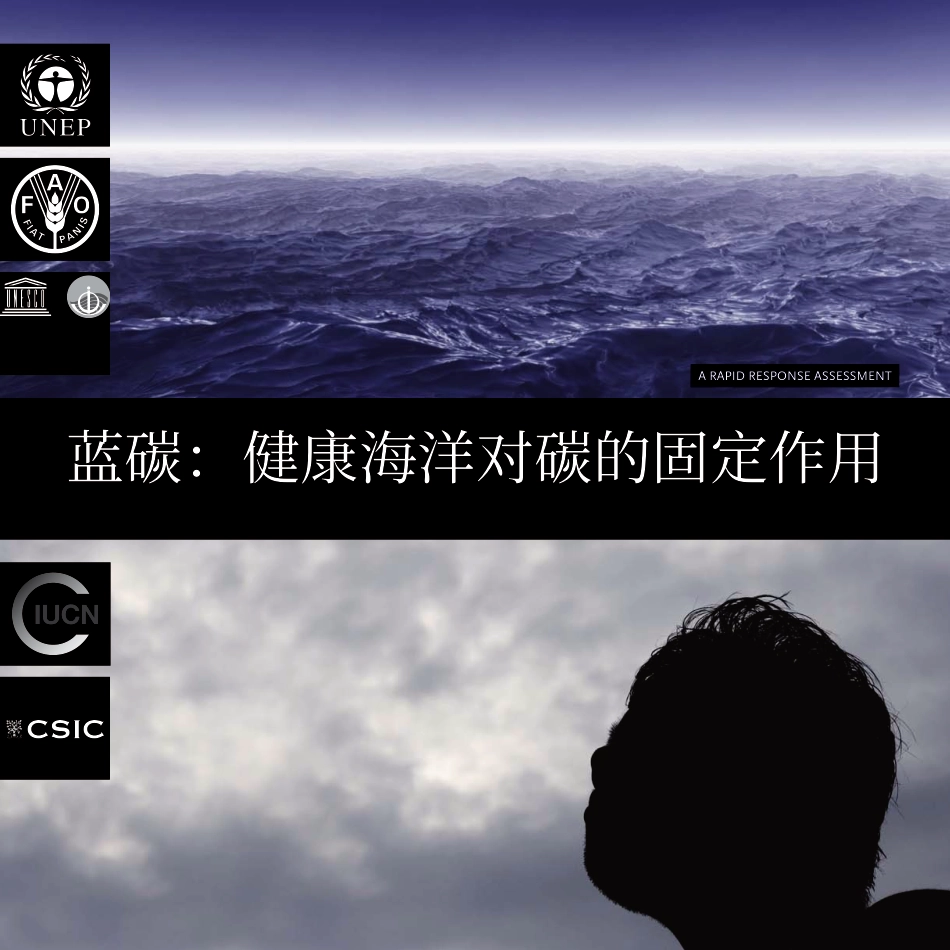 蓝碳报告：健康海洋对碳的固定作用_第1页