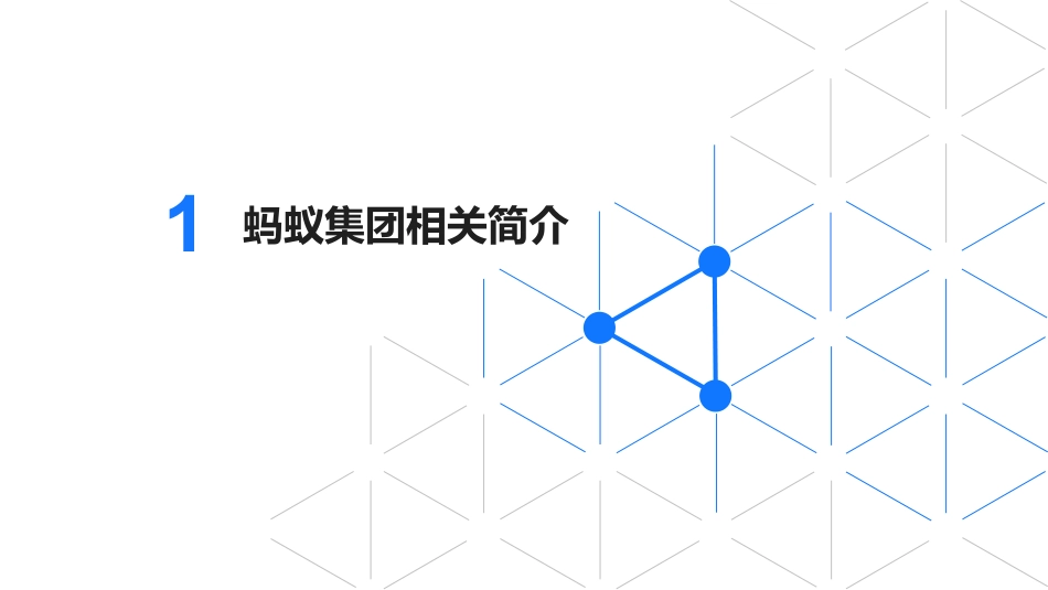 蚂蚁集团薛奕达：低碳供应链数字化转型_第3页