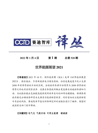 赛迪译丛：《2021年世界能源展望》