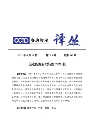 赛迪译丛：促进能源有效转型2021版