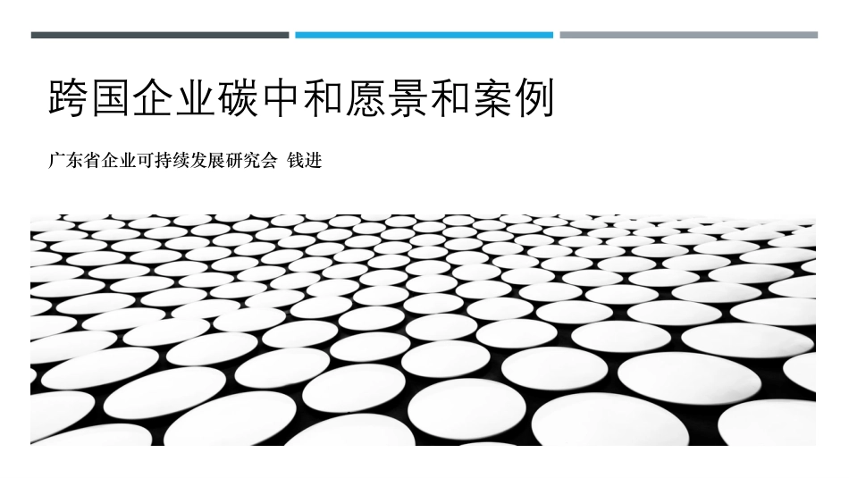 跨国企业碳中和愿景和案例-钱进 _第1页