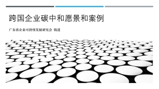 跨国企业碳中和愿景和案例-钱进 