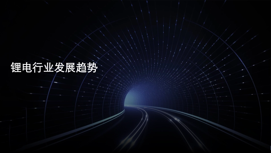 锂电白皮书系列之一：中国锂电行业发展德勤观察-德勤_第3页