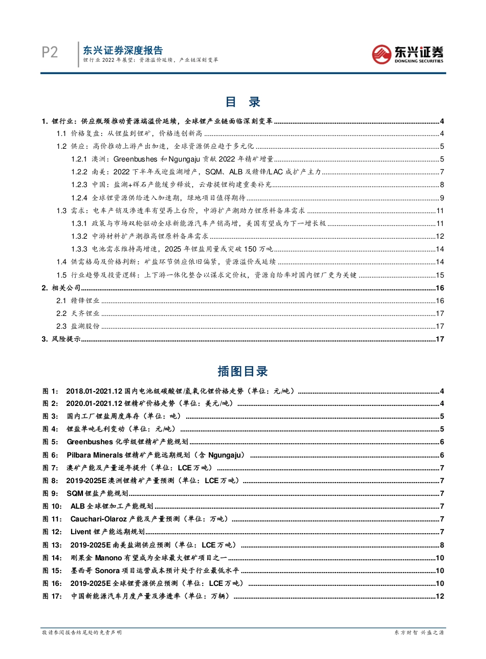 锂行业2022年展望：资源溢价延续，产业链深刻变革_第2页