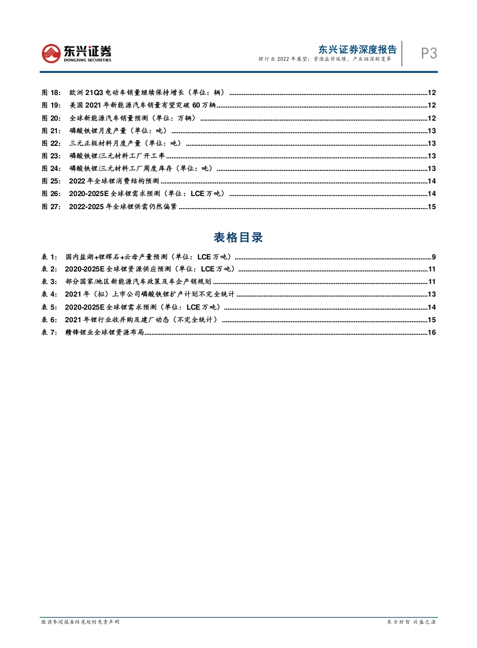 锂行业2022年展望：资源溢价延续，产业链深刻变革_第3页