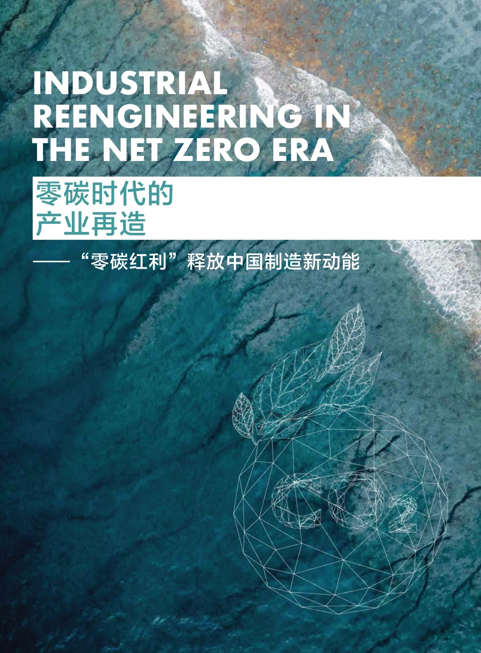 零碳时代的产业再造一“零碳红利”释放中国制造新动能-财新智库_第3页