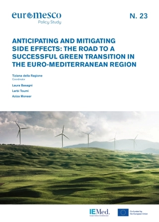 预期和减轻副作用：欧洲-地中海地区绿色转型的成功之路（英）-欧洲地中海研究委员会
