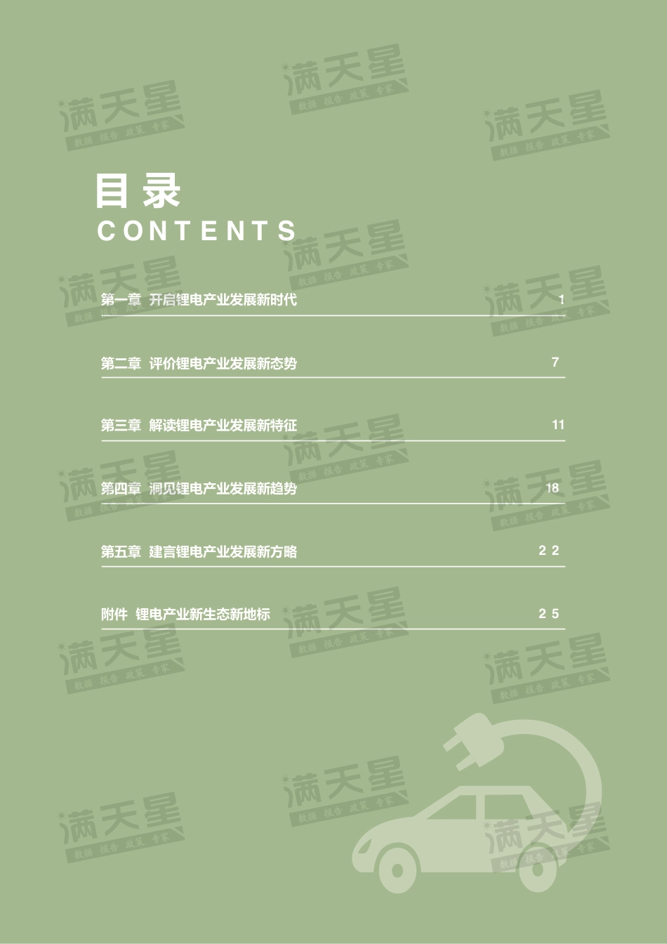 04 2021中国锂电产业发展指数-赛迪顾问_第2页