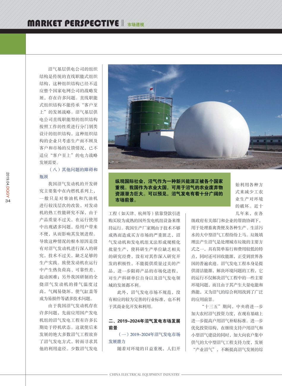 2019～2024年沼气发电行业前景及趋势预测 (1)_第3页