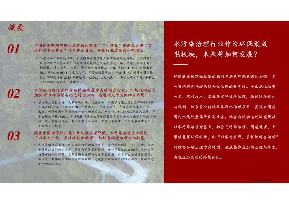 2021年中国水污染治理行业独立市场研究报告_第2页