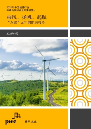 2021年中国能源行业：“双碳”元年驱动投资热潮，扬帆起航正当时-普华永道