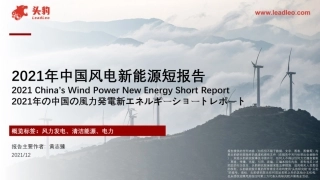 2021年中国风电新能源短报告