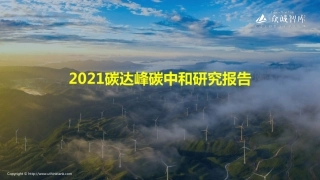 2021碳达峰碳中和研究报告