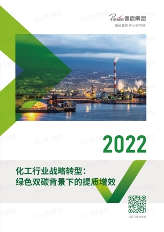 2022化工行业战略转型：绿色双碳背景下的提质增效-佩信集团