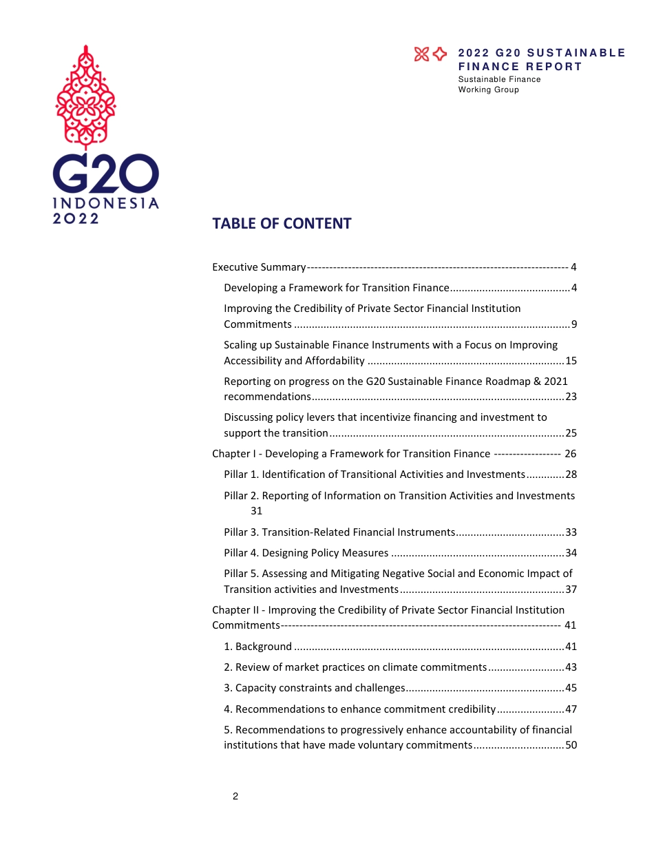 2022年G20可持续金融报告（英文版）---二十国集团_第2页