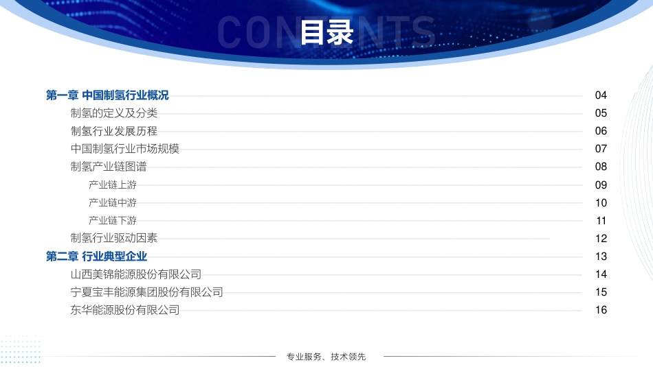 2022年中国制氢行业短报告---亿渡数据_第2页