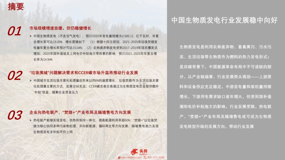 2022年中国生物质发电行业概览_第2页