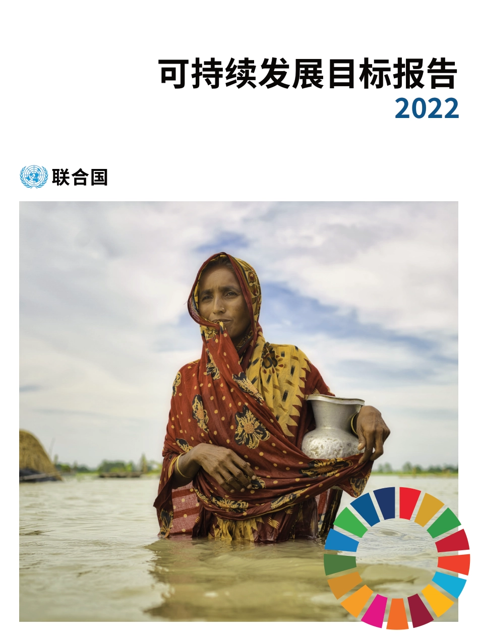 2022年可持续发展目标报告-联合国_第1页