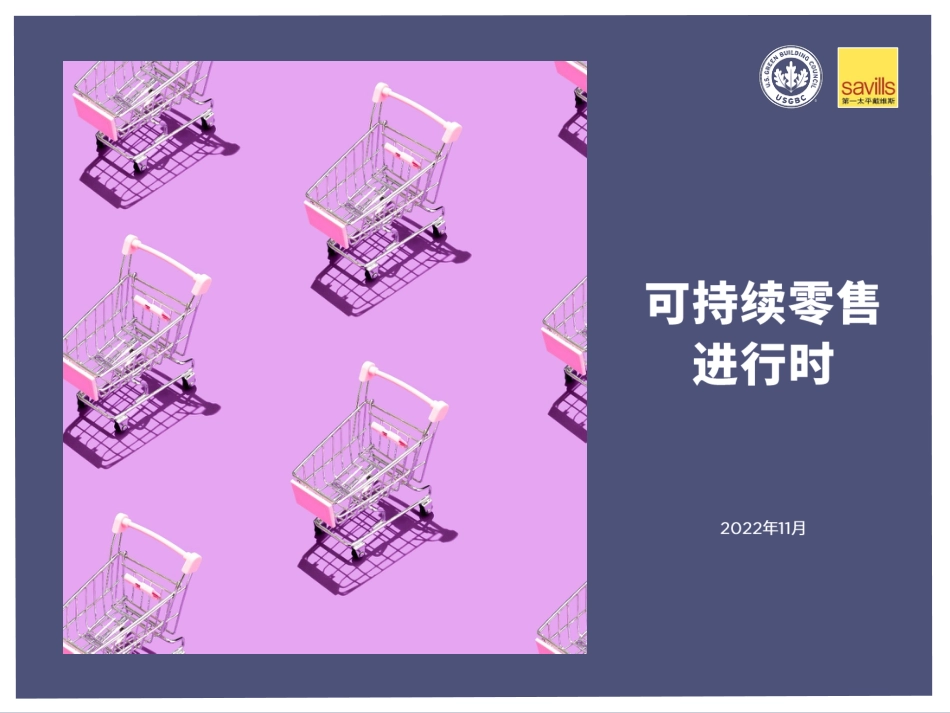 2022年可持续零售进行时（中文版）-第一太平戴维斯_第1页