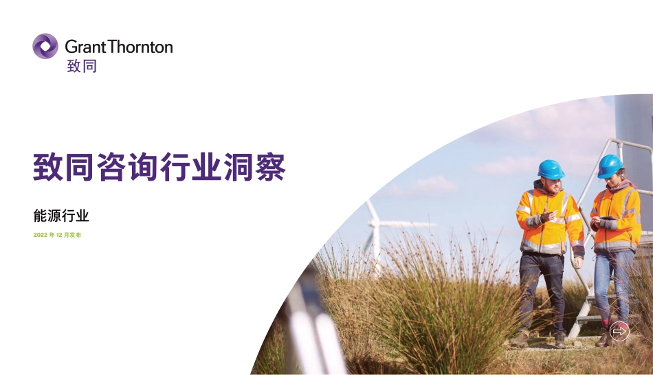 2022年能源行业洞察---致同咨询_第1页