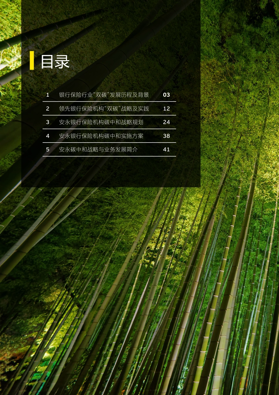 2023银行保险机构碳中和战略白皮书---安永_第2页