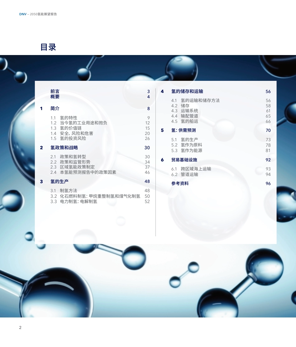 2050氢能展望报告_第2页