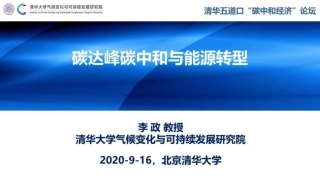 4、李   政：碳达峰碳中和与能源转型 (1)