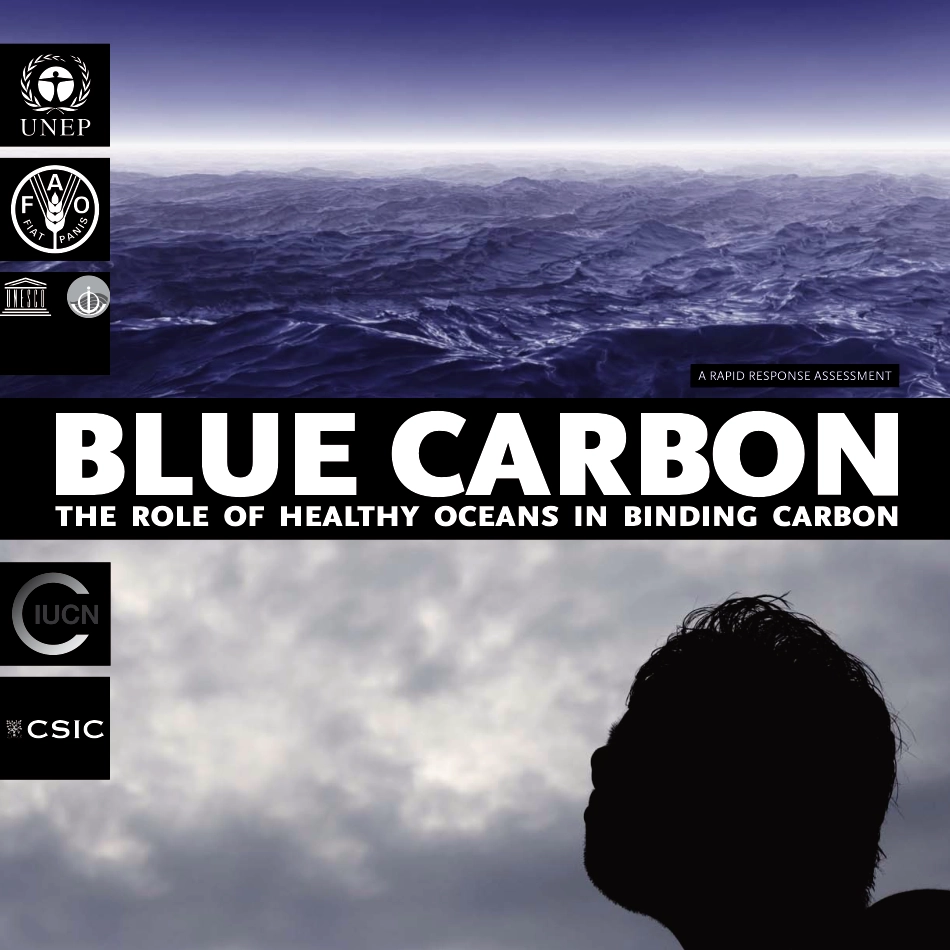 Blue Carbon ：The Role of Healthy Oceans in Binding Carbon_第1页