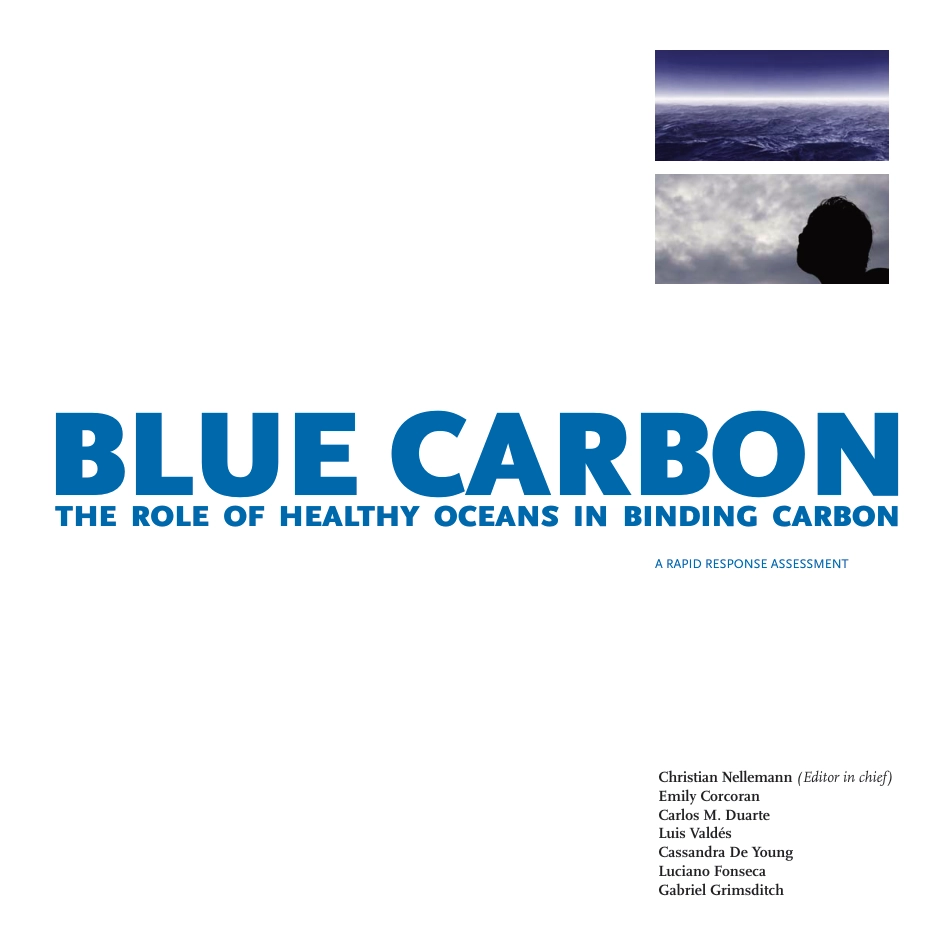 Blue Carbon ：The Role of Healthy Oceans in Binding Carbon_第3页