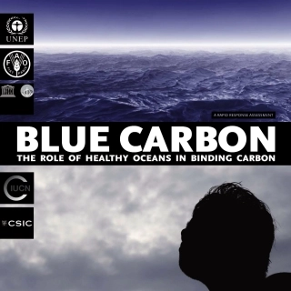 Blue Carbon ：The Role of Healthy Oceans in Binding Carbon