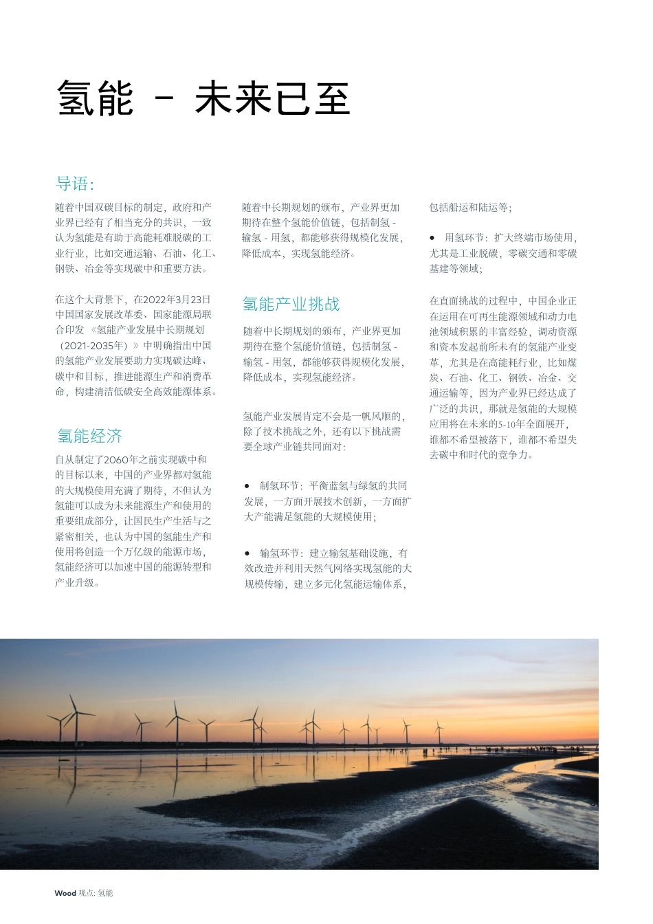 Wood观点-氢能：碳中和目标正在改变中国氢能产业中长期发展_第2页