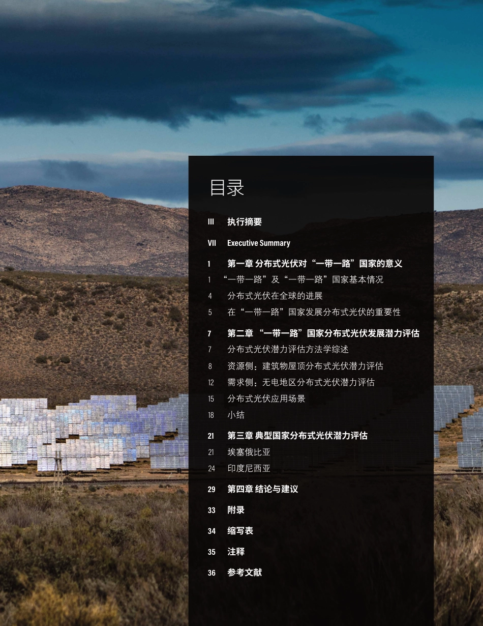 “一带一路”国家分布式光伏发展潜力评估-WRI_第3页