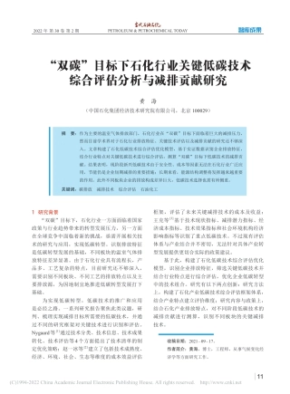“双碳”目标下石化行业关键低碳技术综合评估分析与减排贡献研究