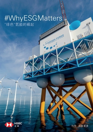 “绿色”氢能的崛起-汇丰