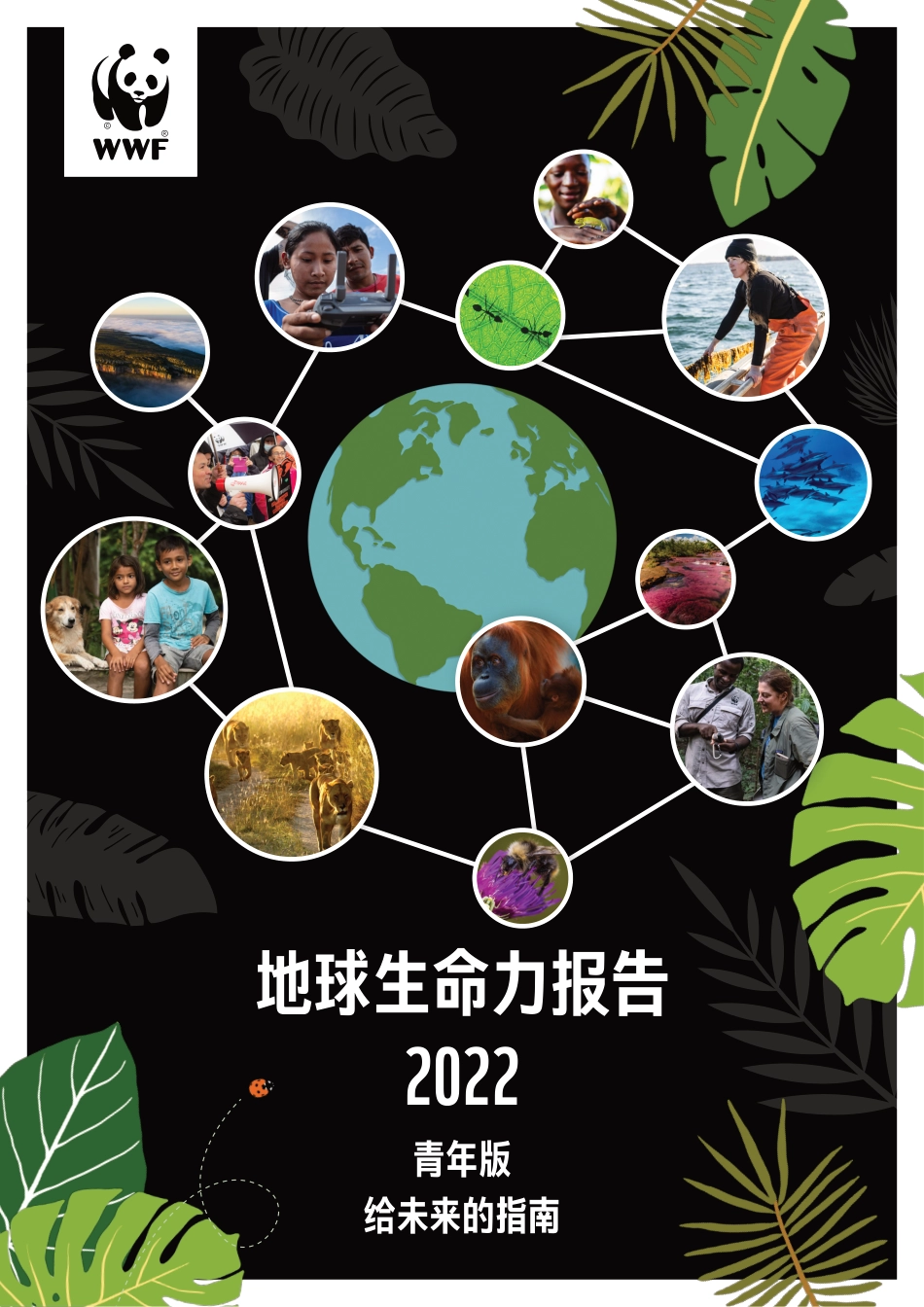 《地球生命力报告2022》青年版摘要-WWF_第1页