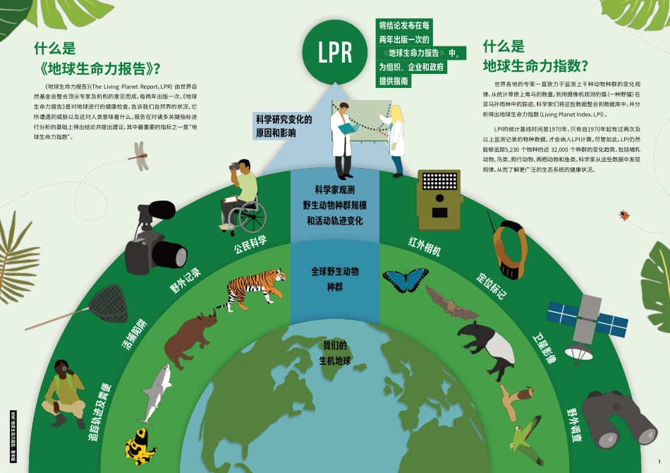 《地球生命力报告2022》青年版摘要-WWF_第2页