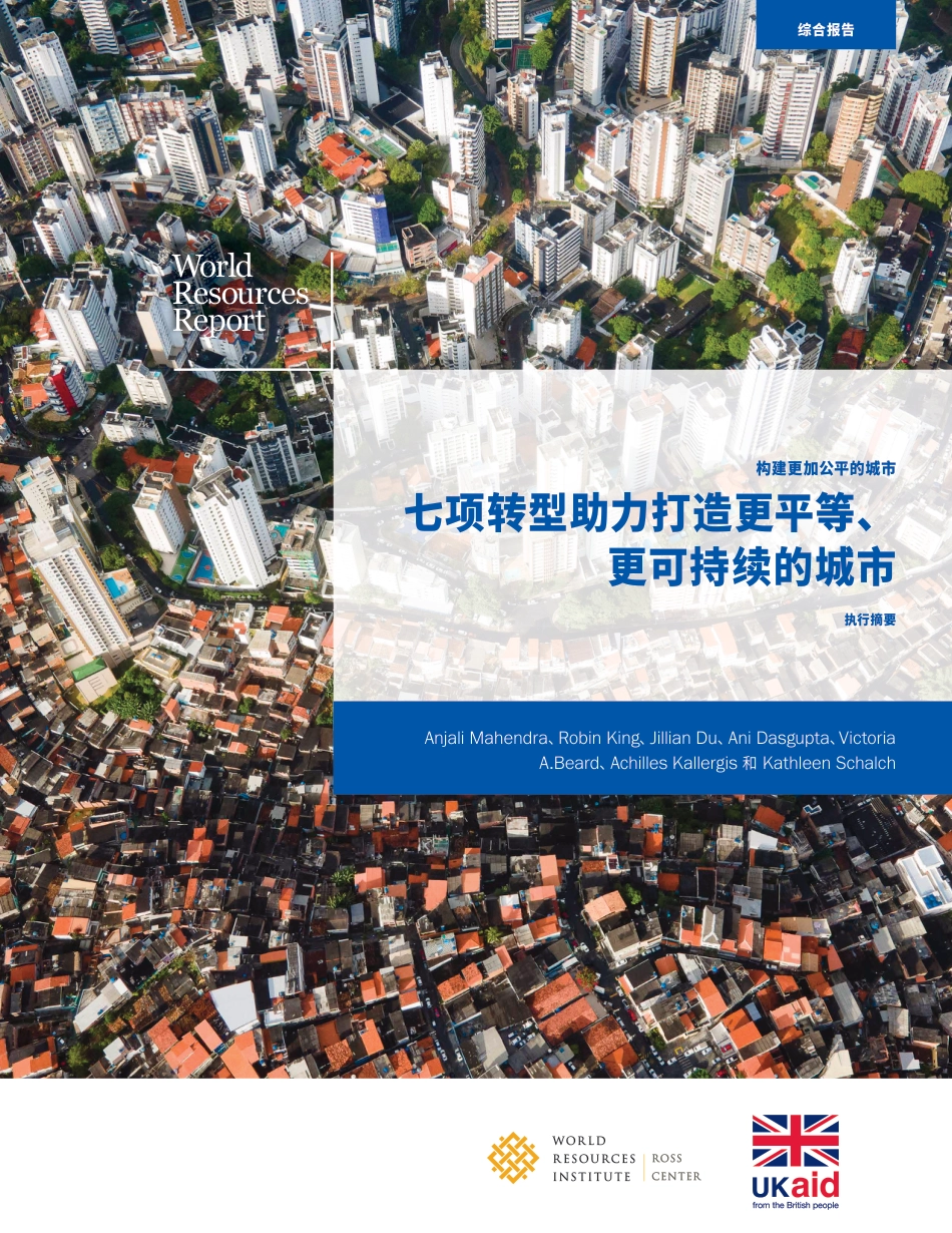 七项转型助力打造更平等、更可持续的城市-WRI_第1页