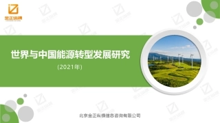 世界与中国能源转型发展研究报告2021