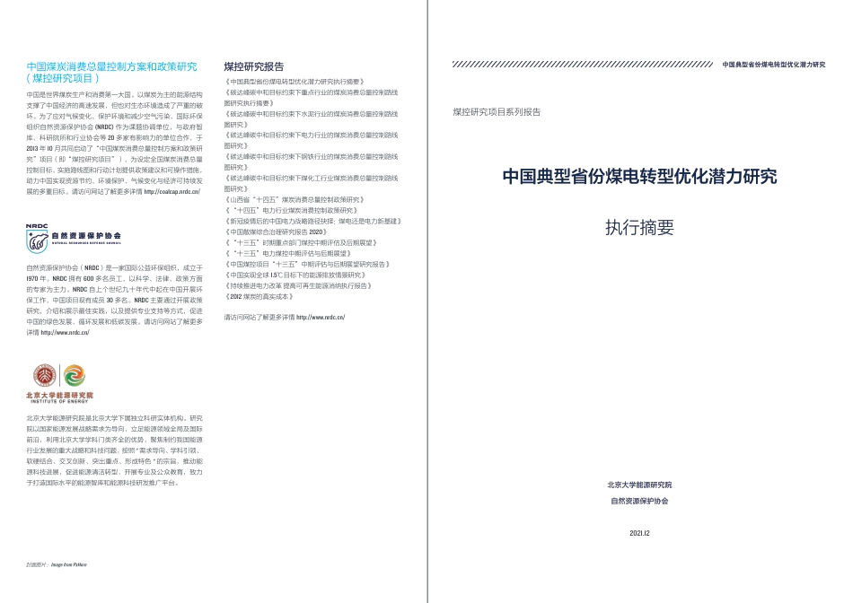 中国典型省份煤电转型优化潜力研究（执行摘要）-自然资源保护协会_第2页